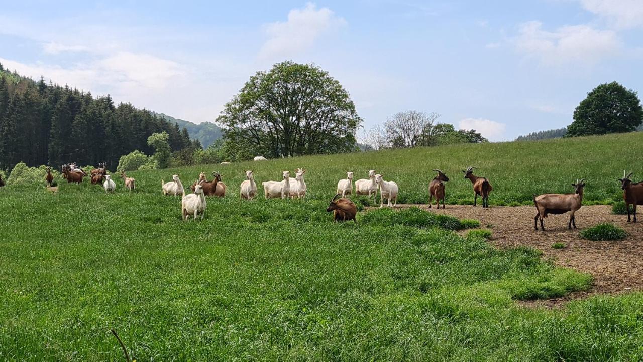 Vakantiehuisje Winterberg Luaran gambar