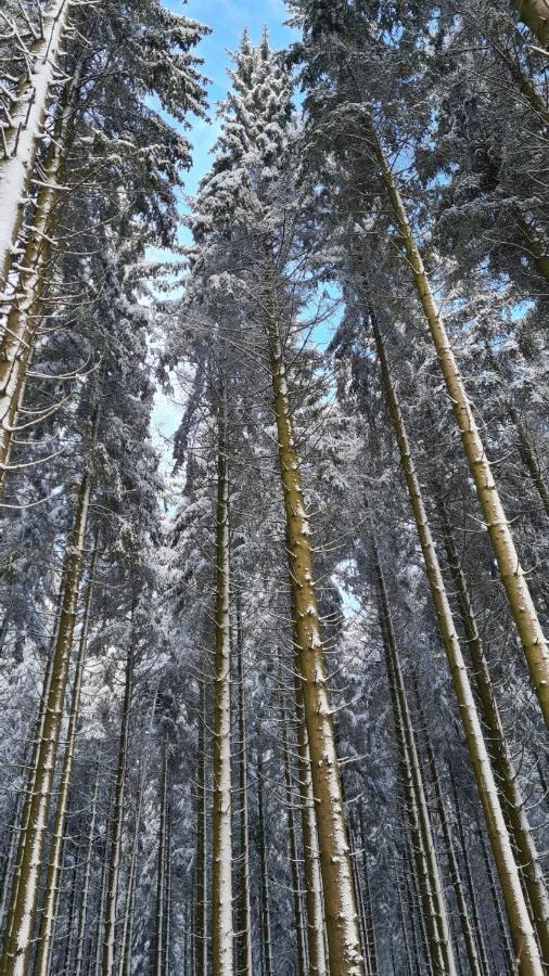 Vakantiehuisje Winterberg Luaran gambar