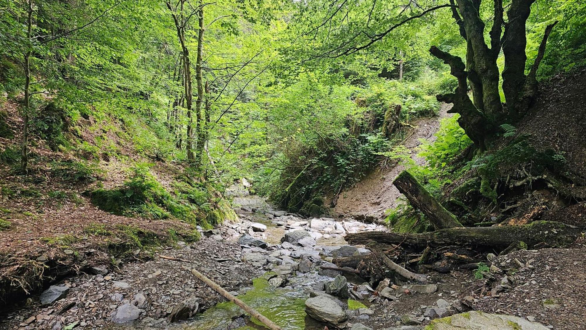 Vakantiehuisje Winterberg Luaran gambar